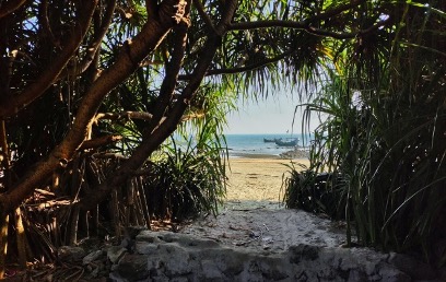 An image from behind trees on a beach with a small opening that reveals the ocean in the distance.