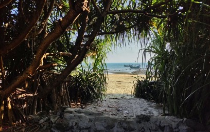 An image from behind trees on a beach with a small opening that reveals the ocean in the distance. 