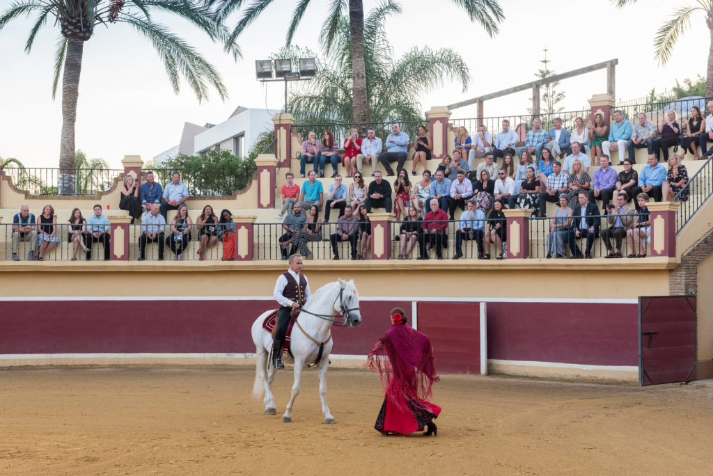 Corporate incentive event attendees watch a horse dancing show in Marbella, Spain