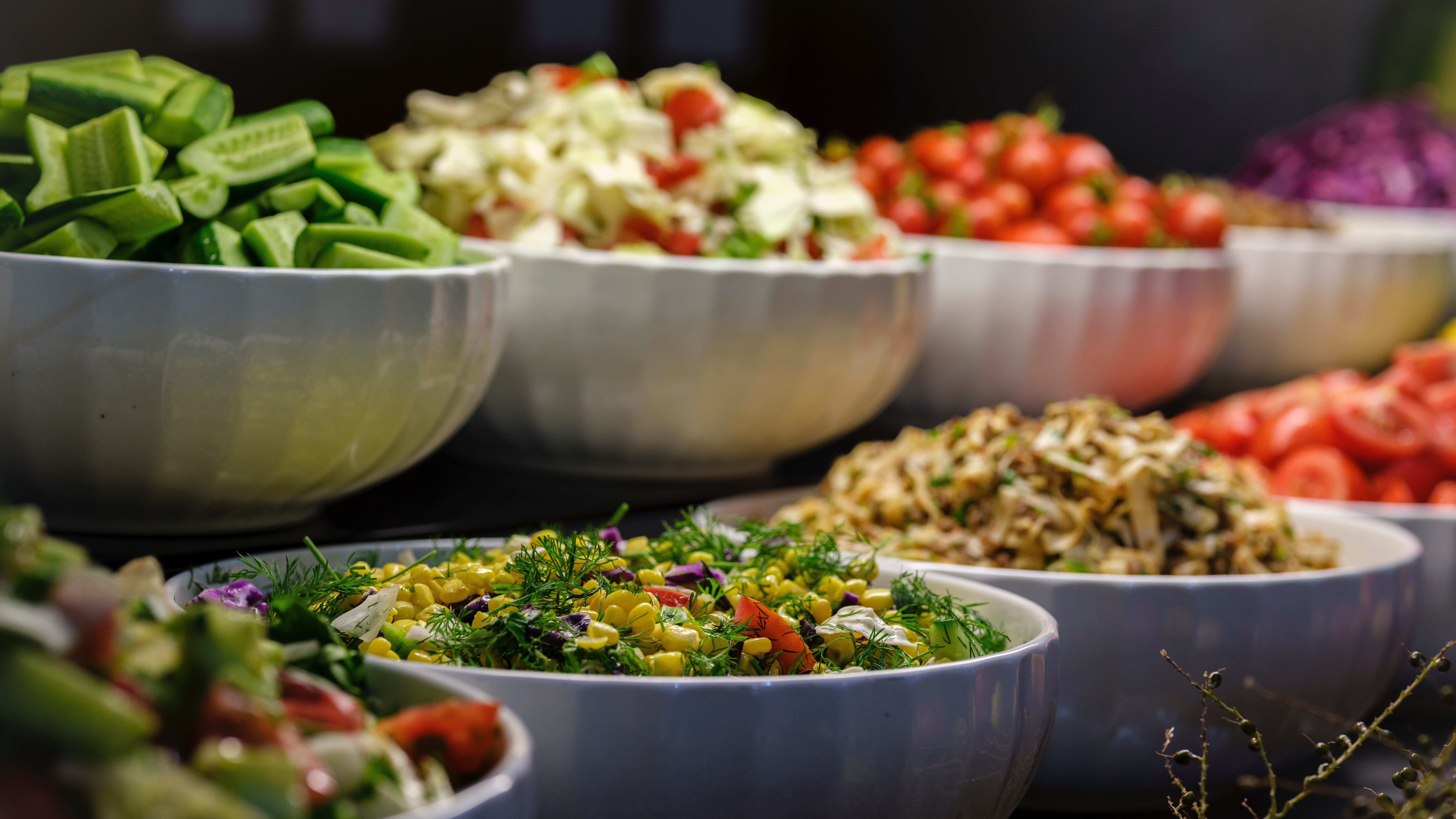 variety of salads on a buffet, suggested as a green event idea to reduce meat consumption