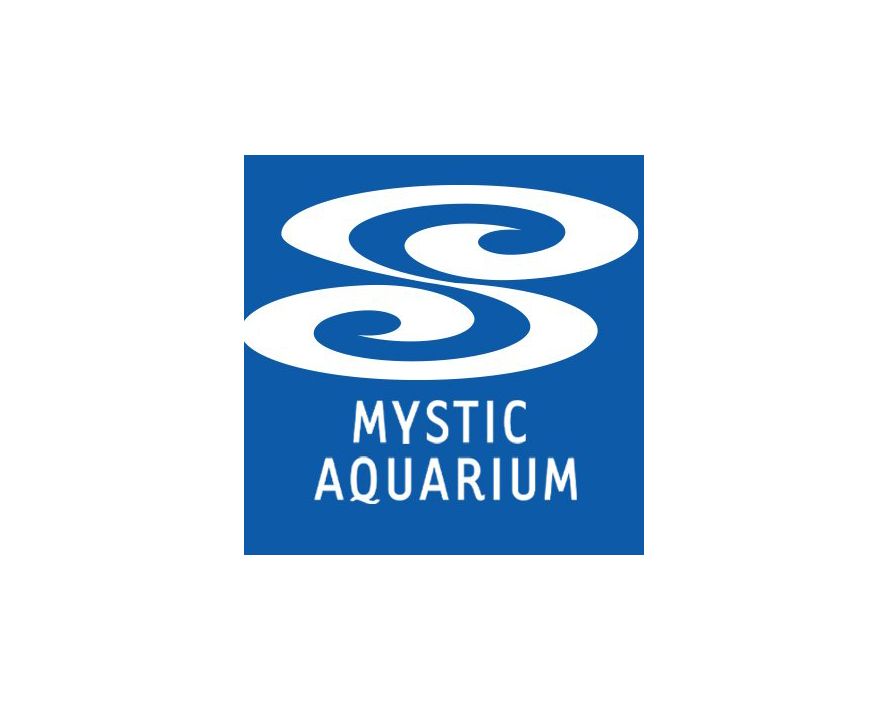 Mystic Aquarium- case study- featured image