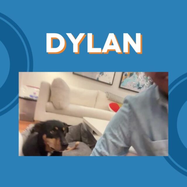 Let us introduce Castle Vice President of Public Relations, Dylan Hackley! (@dhack21) Originally from Westchester, NY, this Yankee’s fan (eek, yes, we forgive him!) is a communications and marketing pro, passionate about all things strategy and relationship building. Here are five fun facts to get to know Dylan:  1. What’s your superpower? I can shorten anything for Twitter. Anything.
2. Most Fascinating People You’ve Met: Pamela Anderson & Corey Booker
3. Castle Adjectives: Decisive, Dedicated, Resourceful
4. Favorite News Sources: The New York Times, Wall Street Journal, Motor Trend, MacRumors
5. Hidden Talent: Photography  #WelcomeToTheTeam #PublicRelations #BostonPRAgency #PRProfessional #MeetTheTeam #EmployeeSpotlight #TeamTuesday